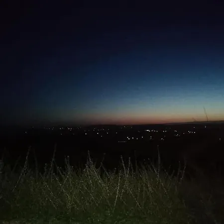 Les Sens Des Bois - Les Grives *