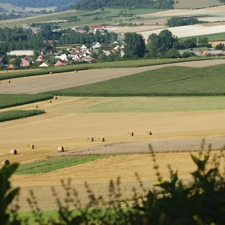 Les Sens Des Bois - Les Grives *